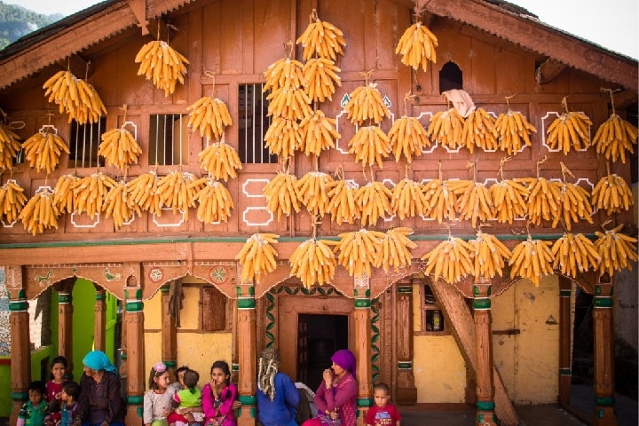 sainji corn village